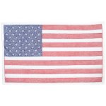 U.S.A. Wall Quilt